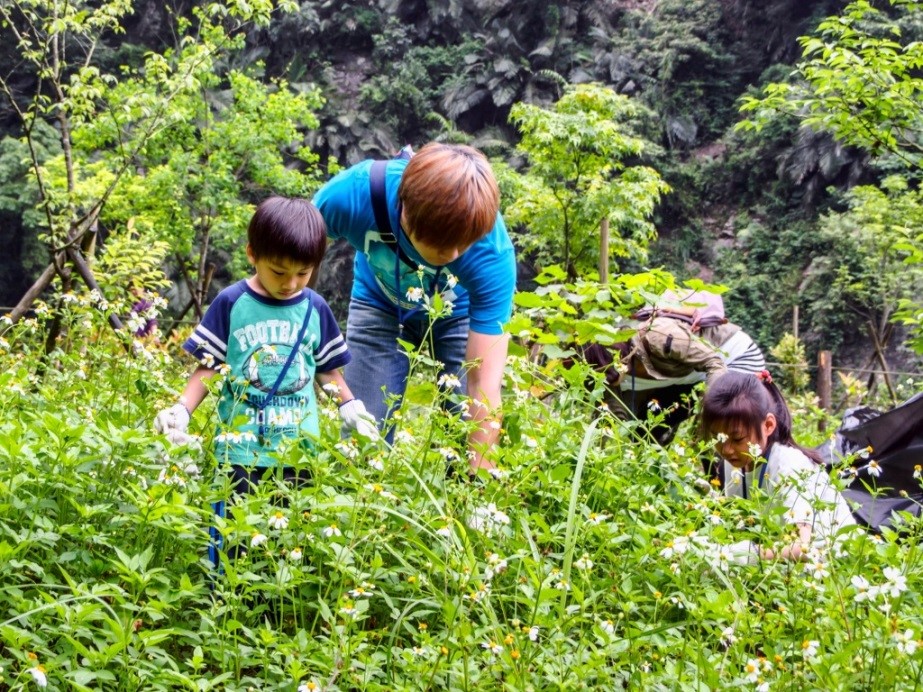 【香港商會公益活動】10/20(六)『移除外來種植物-陽明山竹子湖』